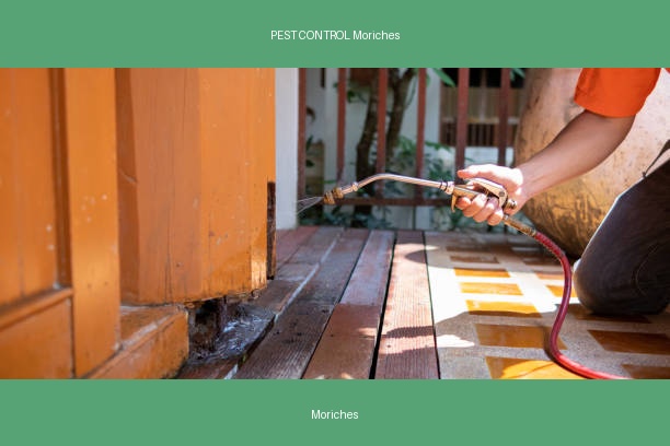PEST CONTROL Moriches